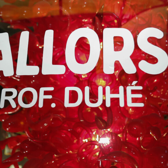 Fiesta de Exalumnos – 40 años de AIP