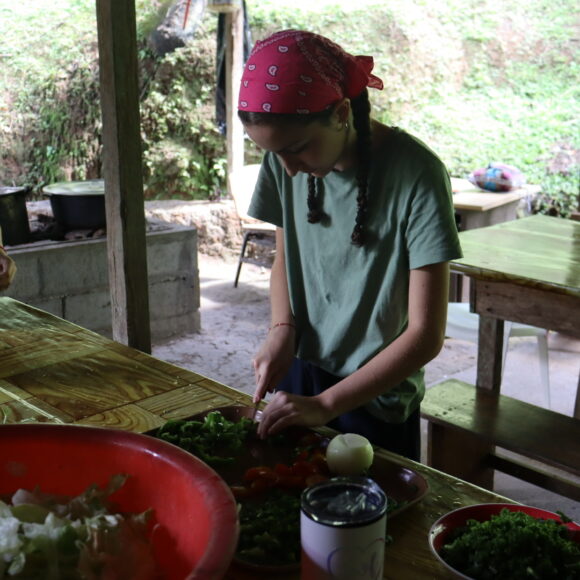 Servicio Social 2023