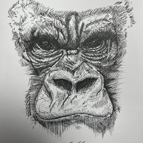 Clase de Dibujo Artístico – promoción 2024