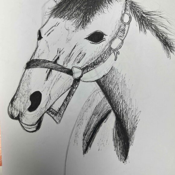 Clase de Dibujo Artístico – promoción 2024