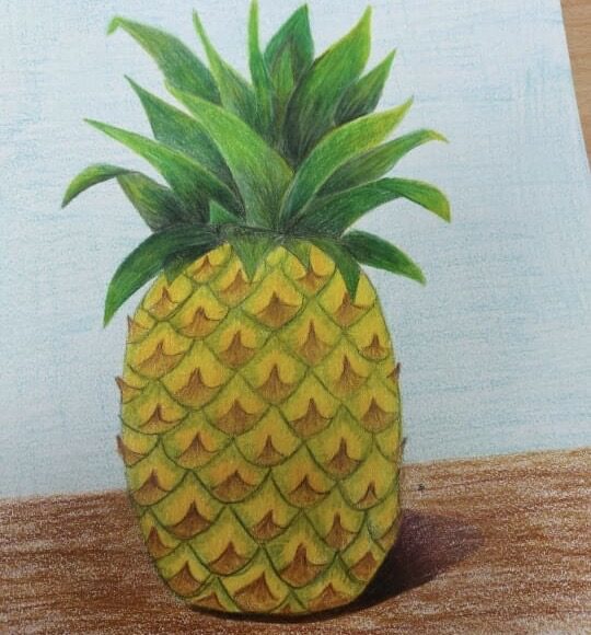 Clase de Dibujo Artístico – promoción 2024