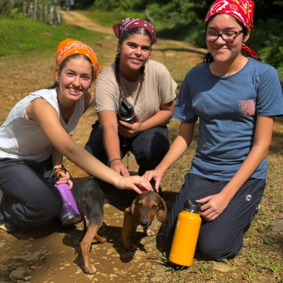 Servicio Social 2025