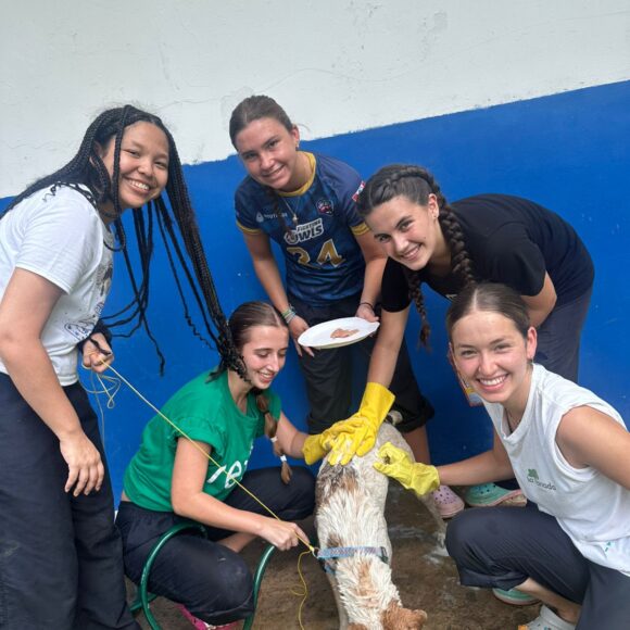 Servicio Social 2025