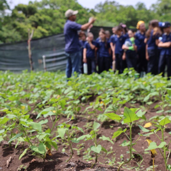 Gira Educativa – 7mo. grado