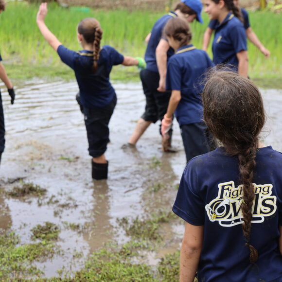 Gira Educativa – 7mo. grado
