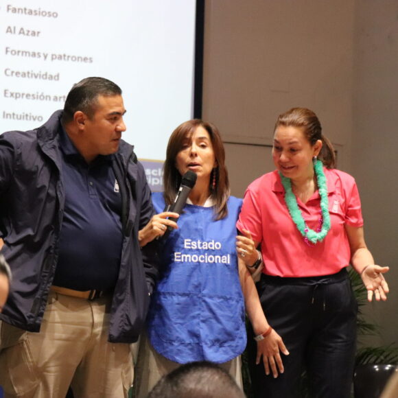 Desarrollo profesional